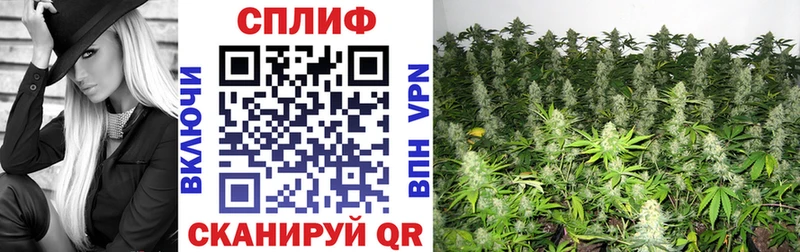 Наркошоп купить COCAIN Каннабис Альфа ПВП Амфетамин МЕФ Гашиш Донской