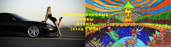 ALPHA PVP Гусев