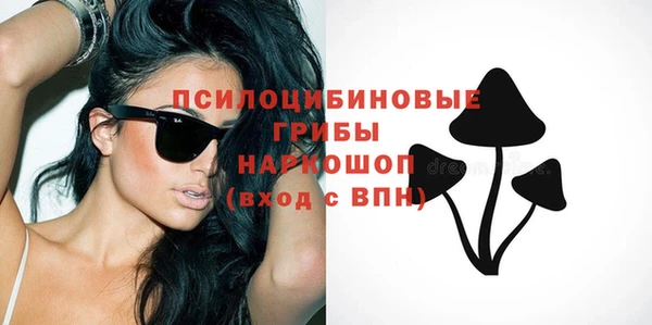 прущий лед Гусь-Хрустальный