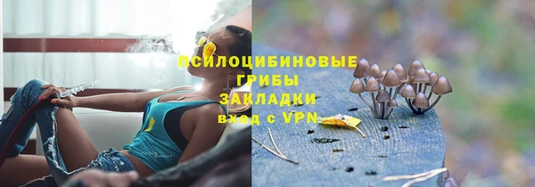 мескалин Гусиноозёрск