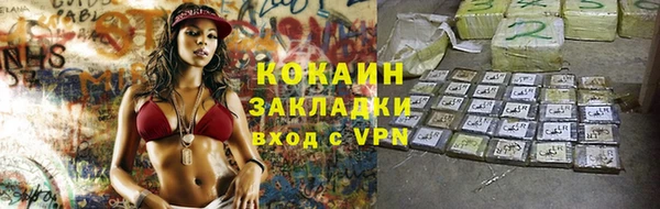 ALPHA PVP Гусев
