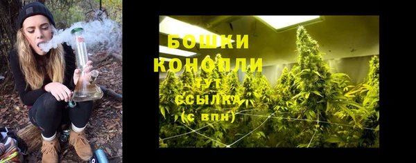 прущий лед Гусь-Хрустальный