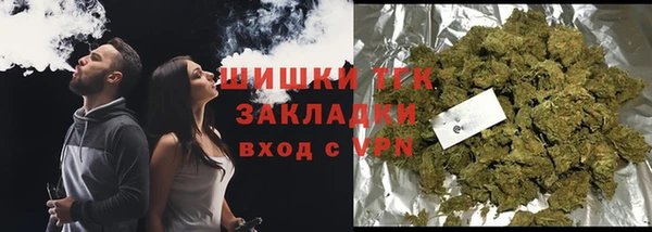 ALPHA PVP Гусев