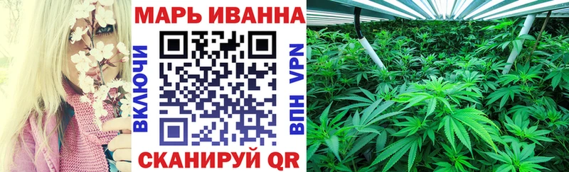 Купить где  Донской  Конопля индика 